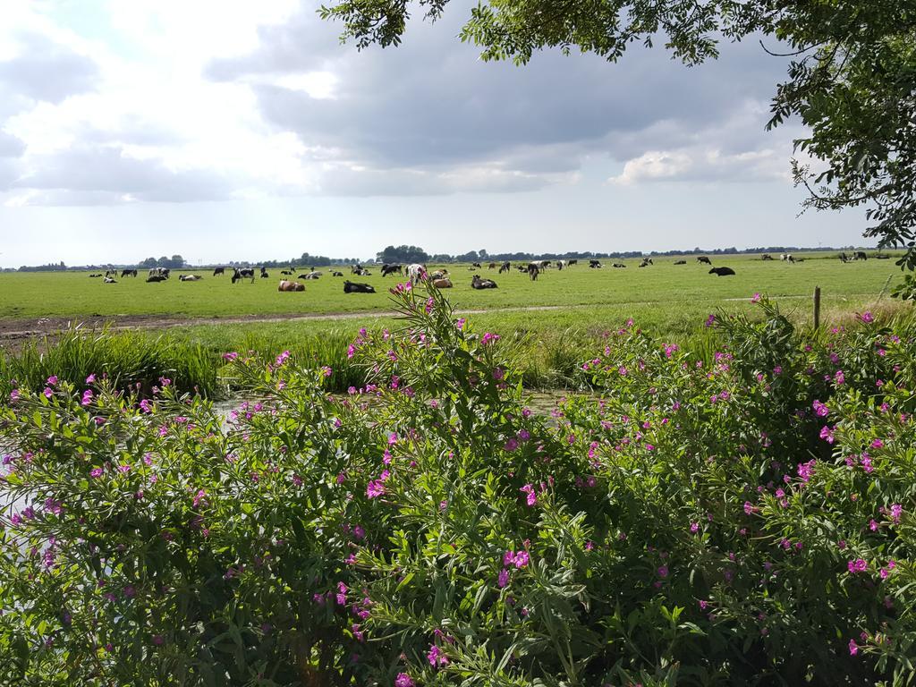 De Koegang Bed and breakfast