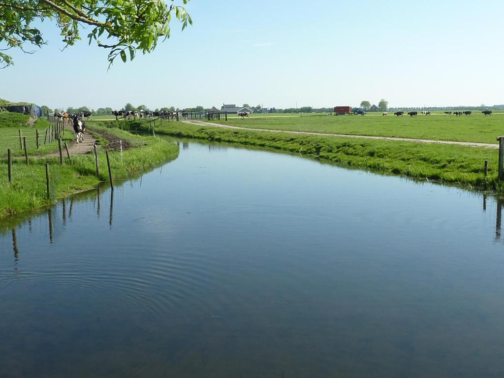 De Koegang Bed and breakfast *